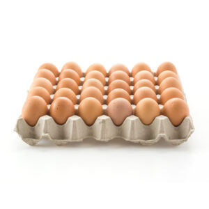 Favo de Ovos de Galinha 30 unidades